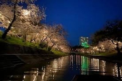 岡崎城　夜桜　船遊び